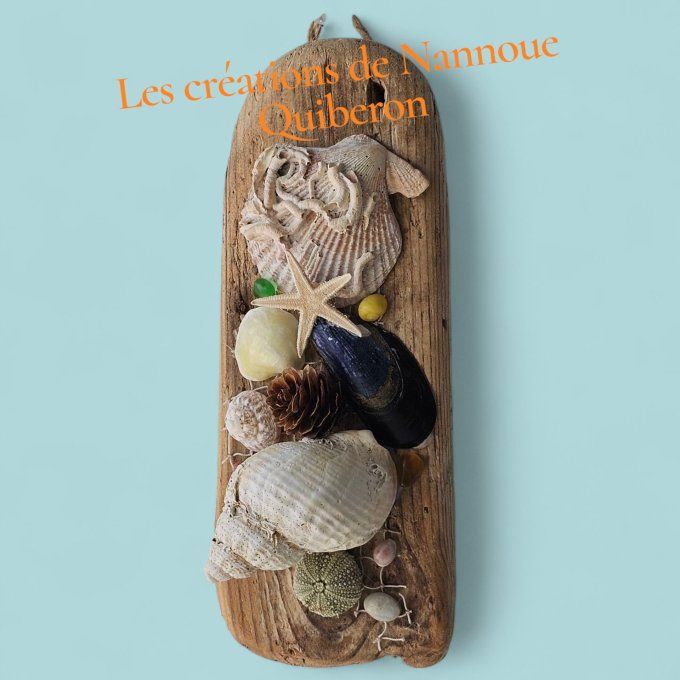 Planche de coquillage par Nannoue