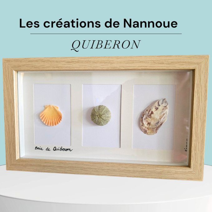 Cadre 3 coquillages par Nannoue de Quiberon