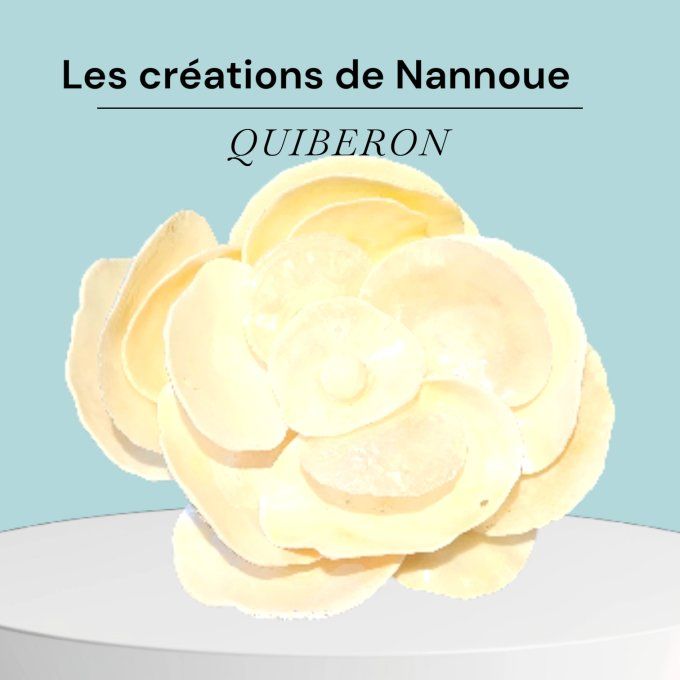 "Rose" en nacre d'anomie de Quiberon 