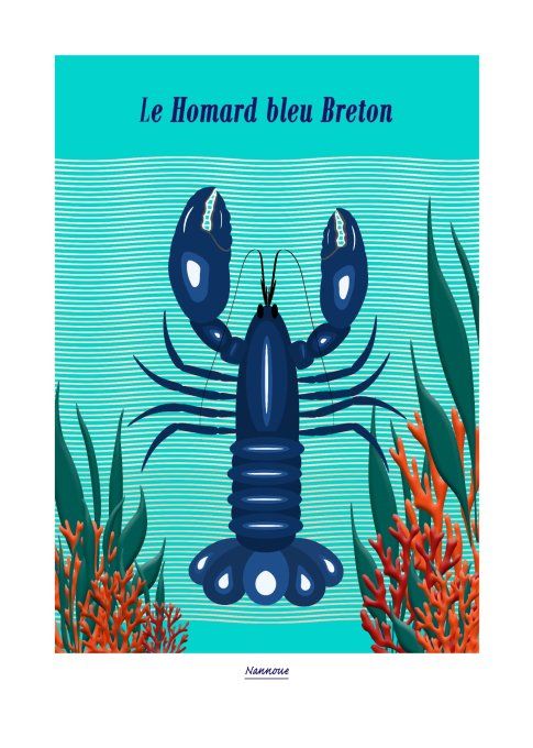 Les affiches de Nannoue de Quiberon