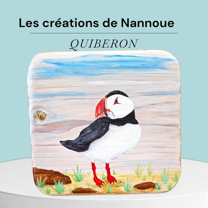 Les panneaux de nannoue Quiberon