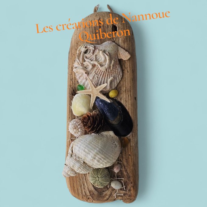 Les coquillages par Nannoue