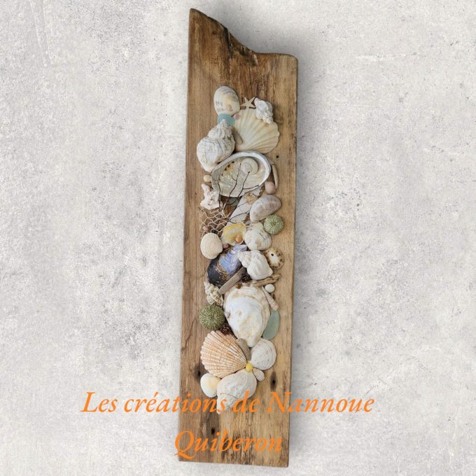 Les coquillages par Nannoue