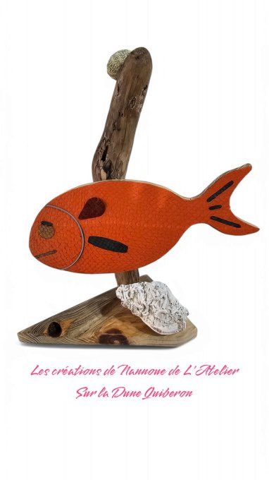 Les poisson de nannoue