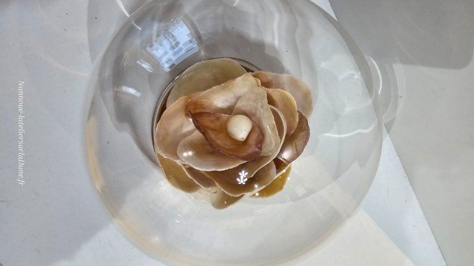 "Rose" en nacre d'anomie Quiberon 