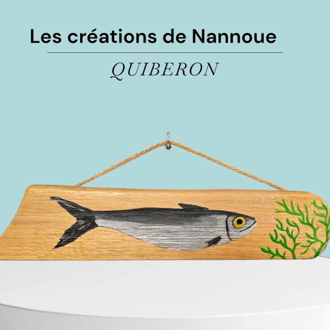 Les panneaux de nannoue Quiberon